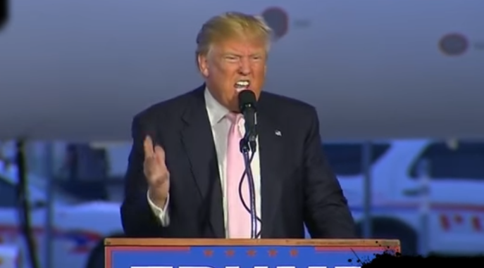 Then-candidate Donald Trump speaking to a campaign rally in Ohio, March 2016. 