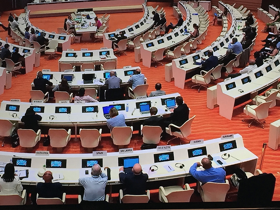 Delegates to the meeting of experts of states-parties to the Biological Weapons Convention hold talks at the Palais des Nations in Geneva in August. (Photo: Jenifer Mackby)