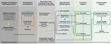 Illustration of Causal Pathways of Potential Environment Effects of Nuclear Detonations  From “Potential Environmental Effects of Nuclear War”