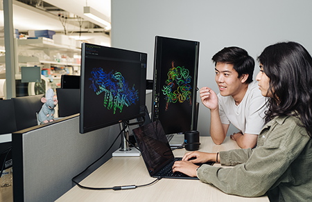 Chemical engineer Brian Hie (L) and Aditi Merchant of Stanford University examine a protein structure generated by Evo 2, an AI tool that can suggest genome designs. As reported in Science, Hie and graduate student Samuel King used AI to design and manufacture viable viruses with DNA sequences, or genomes, not found in nature.  (Photo courtesy of Stanford Engineering)